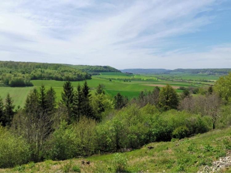 Le Nid d'Alex Spa - Rando Autigny-la-Tour Extérieur photo